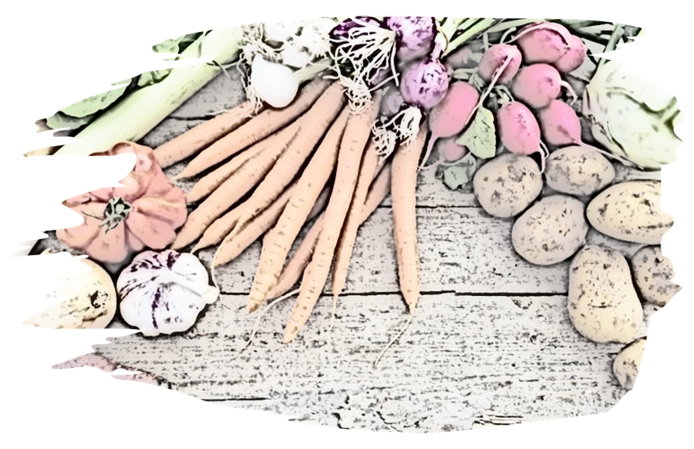MS-News "Ernährung bei MS"